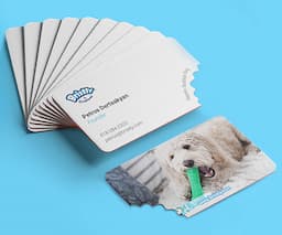 Unique Business Card